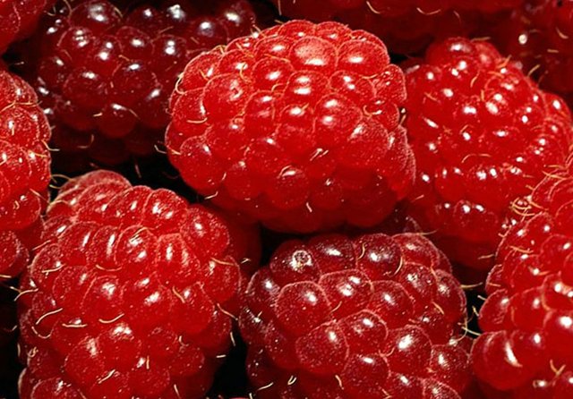 ягоды и фрукты для иммунитета